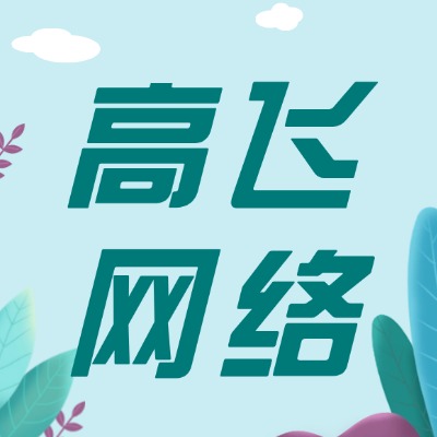 高飞网络加盟